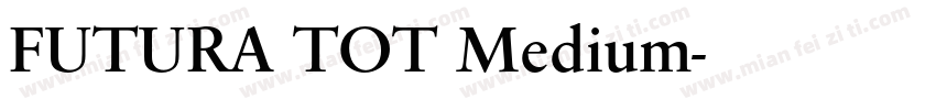 FUTURA TOT Medium字体转换